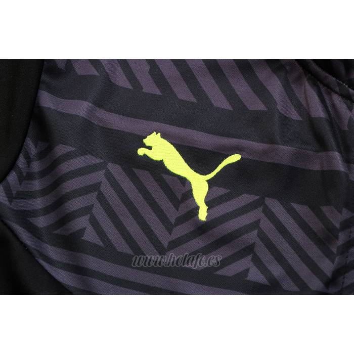 Chandal de Chaqueta del Borussia Dortmund 2022-2023 Gris